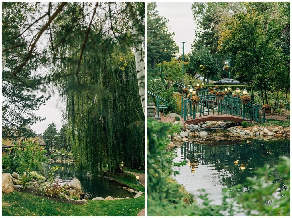 La Caille Proposal Utah Mountains Fall Photographer Caili
