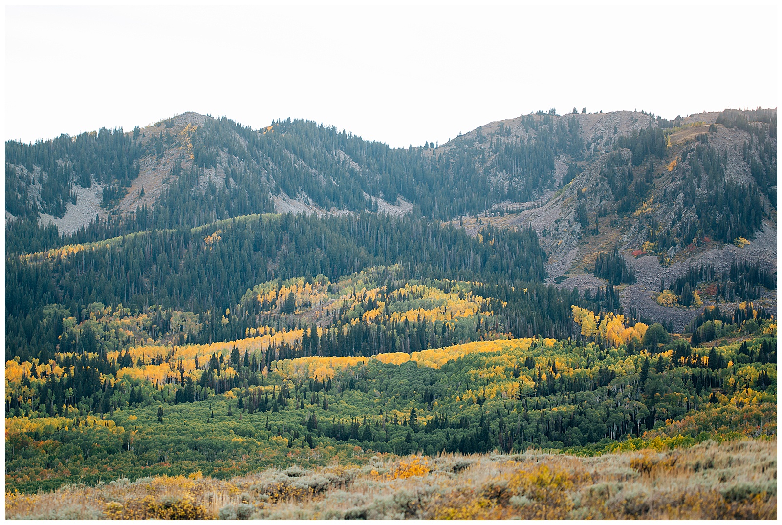 Church of Dirt Park City Fall Wedding Caili Chung Photography