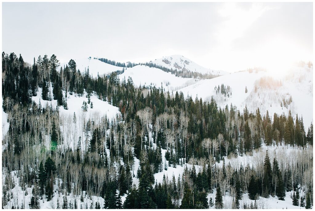 Stein Eriksen Deer Valley Park City Winter Proposal Mountain