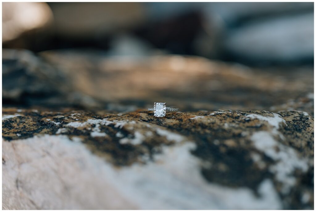 Deer Valley Mountain Proposal Caili