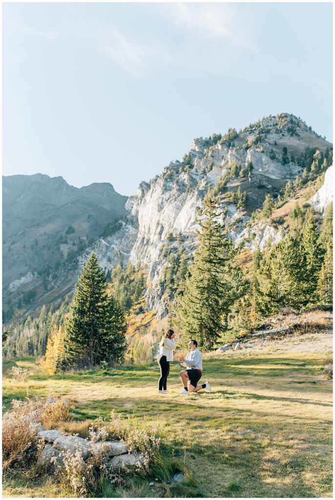 Alta Mountain Proposal Little Cottonwood Canyon