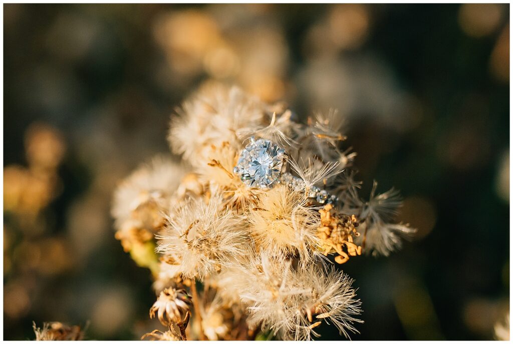 Alta Mountain Proposal Little Cottonwood Canyon