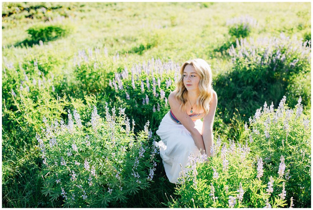 Wildflower Mountain Senior Photos Alta Albion Basin