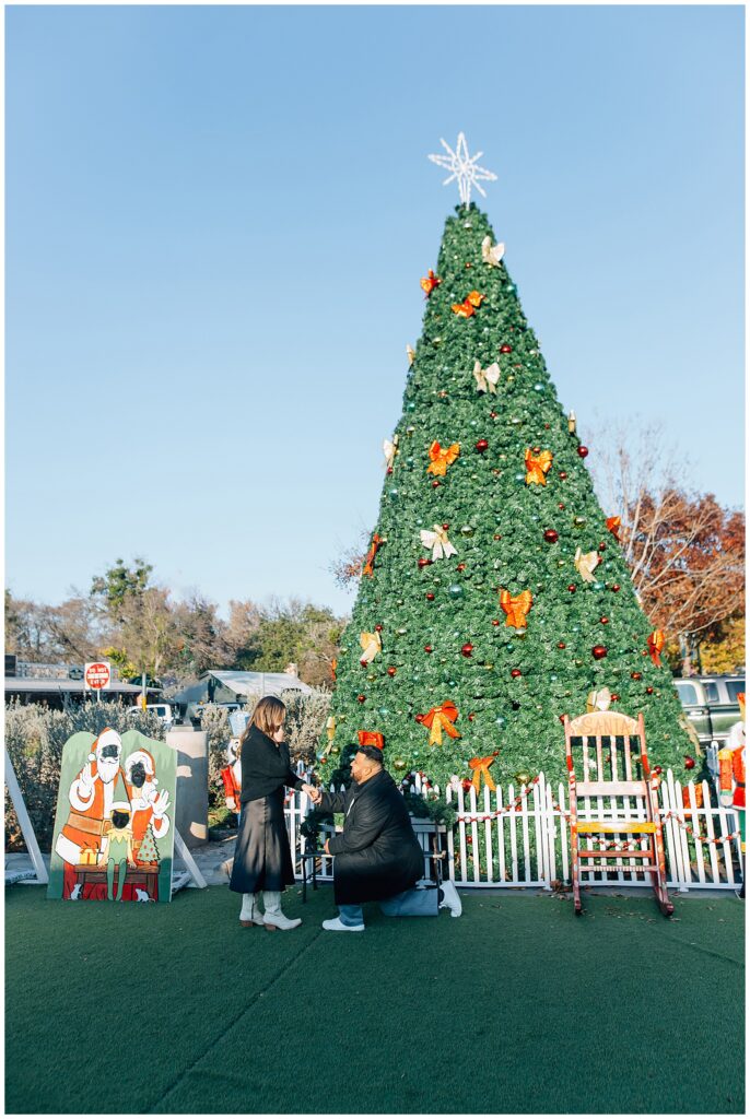 Christmas Proposal Photography Caili Chung